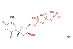 eMolecules​ Ambeed / Thymidine 5-(tetrahydrogen triphosphate) xsodium salt