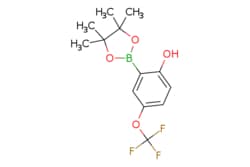 eMolecules AOBChem USA / 2-Hydroxy-5-(trifluoromethoxy)phenylboronic acid