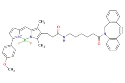 eMolecules​ Broadpharm / BDP TMR DBCO / 1mg / 761705884 / BP-28965 / /
