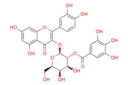 eMolecules Medchem Express / 2-O-Galloylhyperin / 5mg / 510477771 / HY-N0526