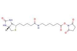 eMolecules​&nbsp;Medchem Express / Biotin-C5-NHS Ester / 100mg / 752822943 / HY-135915 /  / 72040-63-2 / MFCD00065502 / 454.540 / C20H30N4O6S