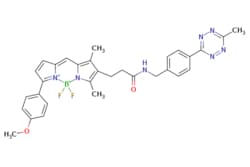 eMolecules​ Broadpharm / BDP TMR tetrazine / 1mg / 761705833 / BP-28952