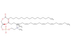 eMolecules​ Broadpharm / SDPC / 10mg / 654743389 / BP-26331 / / 59403-52-0