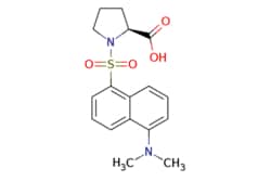 eMolecules​ AstaTech / DANSYL-L-PROLINE / 0.25g / 593993883 / D95843 /