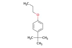 eMolecules​ AstaTech / 1-TERT-BUTYL-4-PROPOXYBENZENE / 1g / 222808240 /