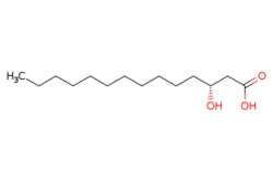 eMolecules​ Broadpharm / (R)-3-Hydroxy Myristic Acid / 25mg / 784455162