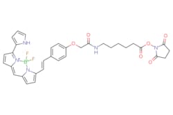 eMolecules​&nbsp;Broadpharm / BDP 650/665 X NHS ester / 1mg / 761705579 / BP-28884 /  / 1616842-78-4 / [null] / 643.450 / C33H32BF2N5O6