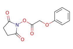 eMolecules​&nbsp;AstaTech / PHENOXYACETIC ACID N-HYDROXYSUCCINIMIDE ESTER / 0.25g / 718059221 / E80280 / 95.000 / 38678-58-9 / MFCD00057281 / 249.222 / C12H11NO5