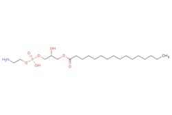 eMolecules​ Broadpharm / 160 Lyso PE / 10mg / 779524148 / BP-29606 / /