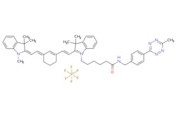eMolecules​ Broadpharm / Cy7 tetrazine / 1mg / 761705845 / BP-28955 / /