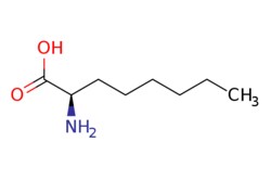 eMolecules​ 106819-03-8 | Ambeed | (R)-2-Aminooctanoic acid | 1g | 494128405