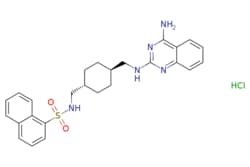 eMolecules​ 192322-50-2 | Medchem Express | CGP71683 hydrochloride | 5mg