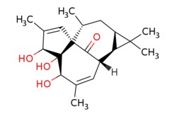 eMolecules​&nbsp;Medchem Express / 20-Deoxyingenol / 5mg / 446275477 / HY-N0866 /  / 54706-99-9 / MFCD30207875 / 332.440 / C20H28O4