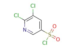 eMolecules​ AstaTech / 56-DICHLOROPYRIDINE-3-SULFONYL CHLORIDE / 0.1g /