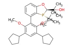 eMolecules​ ChemScene / (RR)-BaryPhos / 25mg / 801476111 / CS-0119123 /