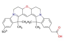 eMolecules​ Broadpharm / Cy3B carboxylic acid / 1mg / 761705774 / BP-28937