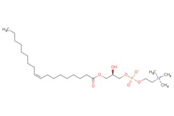eMolecules​&nbsp;Broadpharm / 181 Lyso PC / 50mg / 779524169 / BP-29613 /  / 19420-56-5 / MFCD00133435 / 521.676 / C26H52NO7P