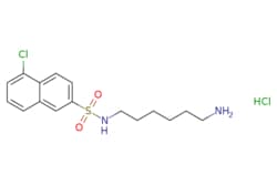 eMolecules​&nbsp;Medchem Express / W-7 (isomer hydrochloride) / 5mg / 722713971 / HY-100913 /  / 69762-85-2 / MFCD00151342 / 377.320 / C16H22Cl2N2O2S