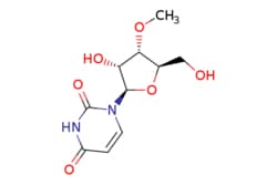 eMolecules​ Broadpharm / 3-O-Methyluridine / 50mg / 761707728 / BP-58841