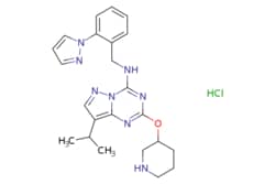 eMolecules​ 2319747-14-1 | Medchem Express | LDC4297 (hydrochloride) |