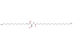 eMolecules​ Broadpharm / C20 Ceramide / 5mg / 779523944 / BP-28819 / /