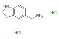 eMolecules​ 1242338-94-8 | Ambeed | Indolin-5-ylmethanamine dihydrochloride