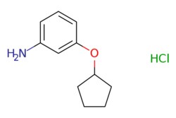 eMolecules​&nbsp;AstaTech / 3-(CYCLOPENTYLOXY)ANILINE HCL / 0.25g / 378951068 / F20086 / 95.000 / 653604-38-7 / MFCD09863407 / 213.710 / C11H16ClNO