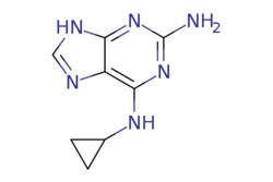 eMolecules​&nbsp;AstaTech / N6-CYCLOPROPYL-9H-PURINE-26-DIAMINE / 0.25g / 443847625 / C71699 / 95.000 / 120503-69-7 / MFCD12215664 / 190.210 / C8H10N6