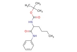 eMolecules​ Synthonix / tert-butyl (1-oxo-1-(phenylamino)hexan-2-yl)carbamate