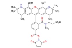 eMolecules​ Broadpharm / MB 543 NHS ester / 1mg / 713699906 / BP-28134