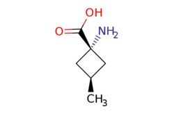 eMolecules​ Pharmablock / trans-1-amino-3-methyl-cyclobutanecarboxylic