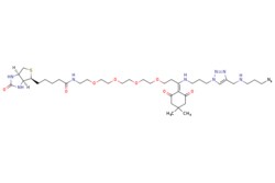 eMolecules​ Broadpharm / Dde Biotin Azide Plus / 1mg / 713699819 / BP-28104
