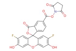 eMolecules​ 198139-51-4 | Medchem Express | OG 488 SE | 5mg | 662696403
