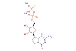 eMolecules​ Broadpharm / Guanosine 5-diphosphate sodium salt / 1g / 761707587