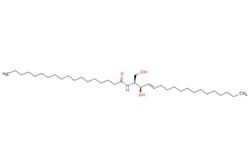 eMolecules​ Broadpharm / C18 Ceramide / 5mg / 779523938 / BP-28817 / /