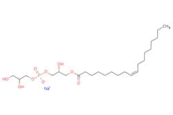 eMolecules​ Broadpharm / 181 Lyso PG / 50mg / 779524043 / BP-29566 / /