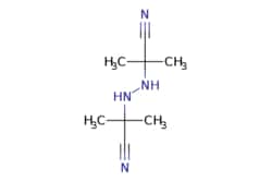 eMolecules​ AstaTech / 22-HYDRAZOBIS[2-METHYLPROPANENITRILE] / 1g / 261441626