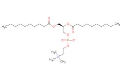 eMolecules​ Broadpharm / DDPC / 25mg / 654743305 / BP-26297 / / 3436-44-0