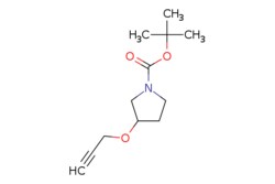eMolecules​ Synthonix / tert-butyl 3-(prop-2-yn-1-yloxy)pyrrolidine-1-carboxylate