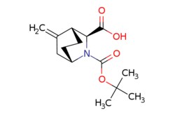 eMolecules​ Pharmablock / (1S3S4R)-2-tert-butoxycarbonyl-5-methylene-2-azabicyclo[2.2.2]octane-3-carboxylic