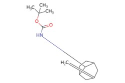 eMolecules​ Pharmablock / tert-butyl N-3-methylidenebicyclo[3.2.1]octan-8-ylcarbamate