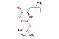 eMolecules​ Pharmablock / (2R)-2-(tert-butoxycarbonylamino)-3-(1-methylcyclobutyl)propanoic