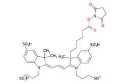 eMolecules​&nbsp;Broadpharm / BP Fluor 555 NHS ester / 1mg / 599128647 / BP-25562 / 90.000 / 407627-68-3 / [null] / 930.040 / C38H47N3O16S4