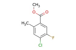 eMolecules​ AstaTech / METHYL 4-CHLORO-5-FLUORO-2-METHYLBENZOATE / 1g /