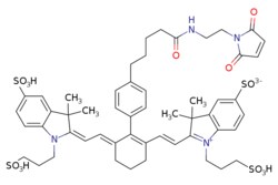 eMolecules​&nbsp;Broadpharm / IR 750 Maleimide / 1mg / 713700019 / BP-28168 /  /  / [null] / 1137.360 / C54H64N4O15S4