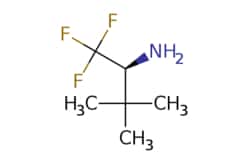 eMolecules​ AstaTech / (S)-22-DIMETHYL-1-TRIFLUOROMETHYLPROPYLAMINE / 0.25g
