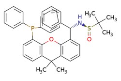 eMolecules​ ChemScene / [S(R)]-N-[(S)-(phenyl)[5-(Diphenylphosphino)-99-dimethyl-9H-xanthen-4-yl](phenyl)methyl]-2-methyl-2-propanesulfinamide