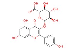 eMolecules​ 22688-78-4 | Medchem Express | Kaempferol 3-O--D-glucuronide