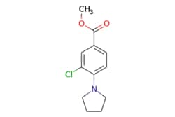 eMolecules​ AstaTech / METHYL 3-CHLORO-4-(1-PYRROLIDINYL)BENZOATE / 0.25g