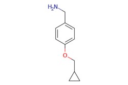 eMolecules​ Synthonix / [4-(cyclopropylmethoxy)phenyl]methanamine / 100mg